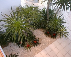 Interior office corner with layered greenery