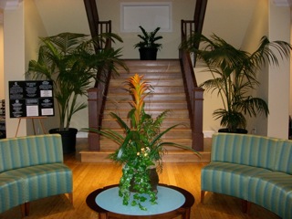 Bank lobby plantscape with palms and bromeliad accents